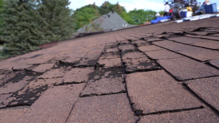 Best Rubber Roofing (EPDM, TPO)  in Thermal, CA